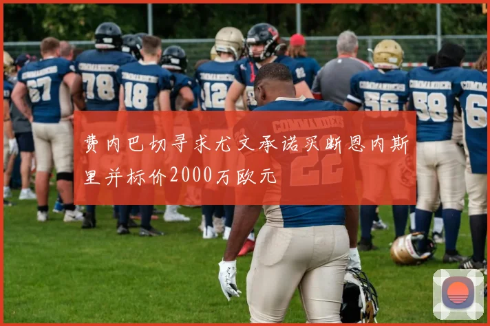 费内巴切寻求尤文承诺买断恩内斯里并标价2000万欧元