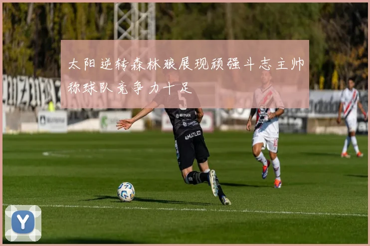 太阳逆转森林狼展现顽强斗志主帅称球队竞争力十足