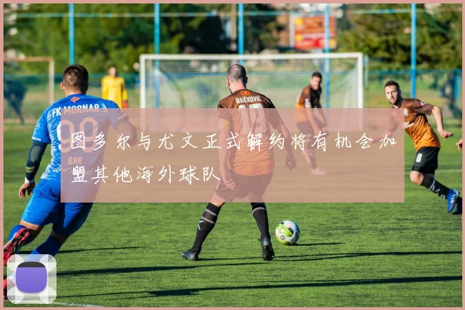 图多尔与尤文正式解约将有机会加盟其他海外球队