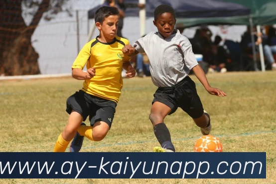 开云体育服务体系