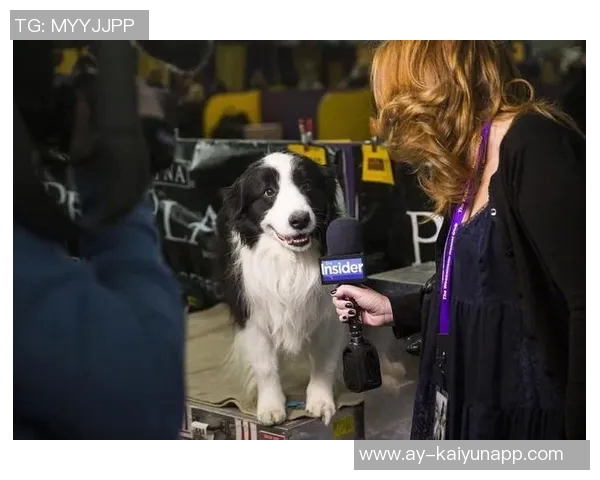 穆里尼奥回忆切尔西旧情：如同爱情般的深厚情感依然存在