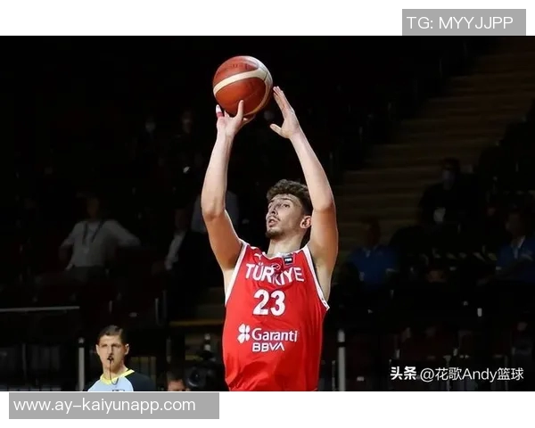 约基奇传授经验23岁申京提升战术地位势在必行 约基奇传授经验23岁申京提升战术地位势在必行